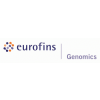 Senior System Administrator