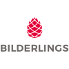 Monitoring Analyst