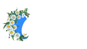 CV.lv